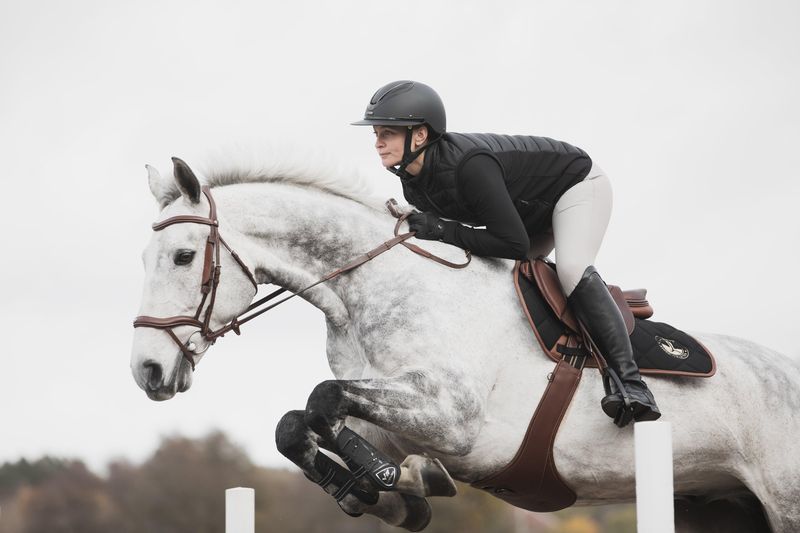 TRÄNS LIPPO ECCELENT