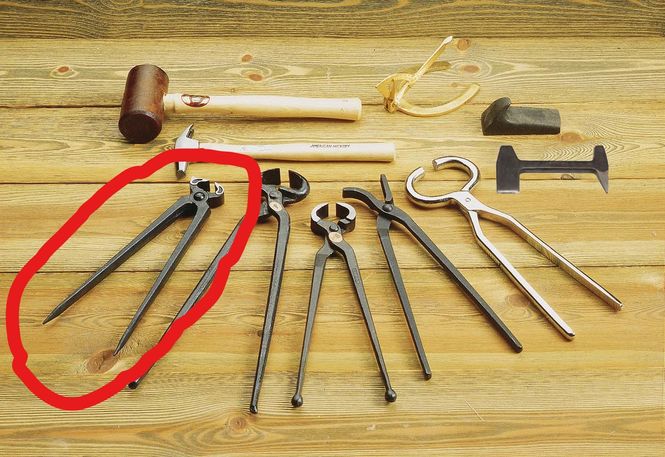 Hovedbilde Hovtang Knipex