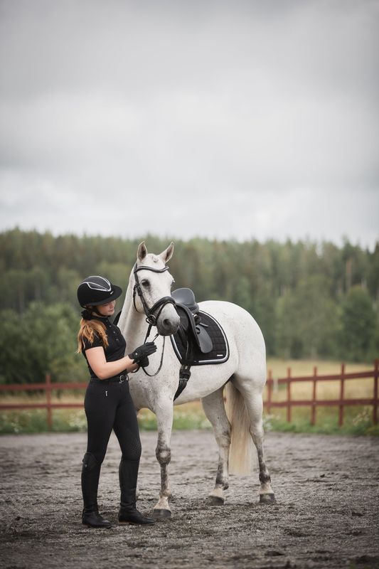 SCHABRAK SPARKLING DRESSUR