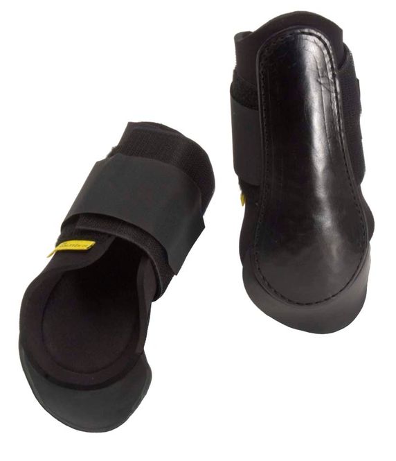 Hovedbilde Bakbensbelegg Ponni