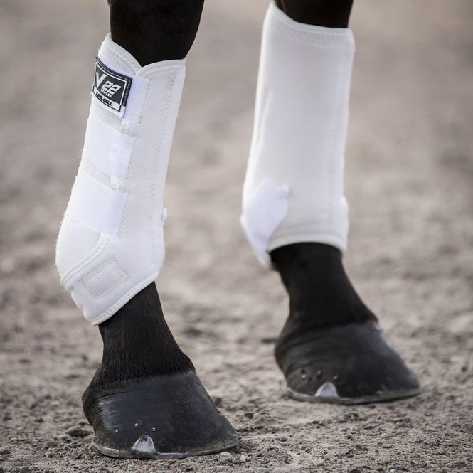 Hovedbilde DRESSYR BOOT