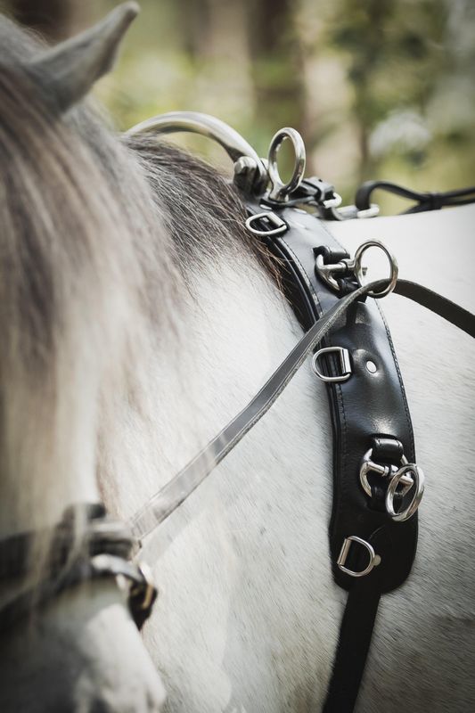 TOMMEKJØRNINGSGJORD LIPPO KOMPLETT