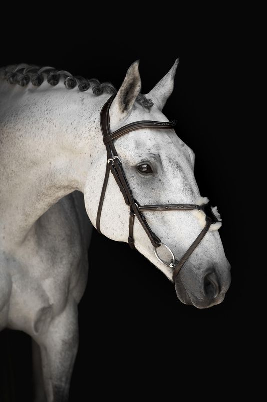 TRÄNS LIPPO SUPREME