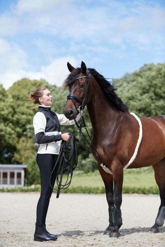 Horse Guard Soft-longeringshjelp