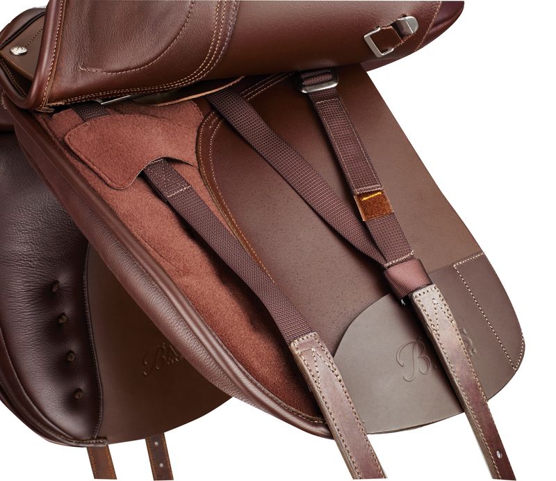 Bates Dressage