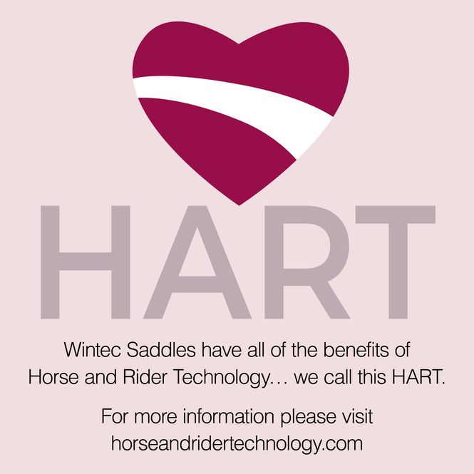 Hovedbilde Wintec 500 WIDE Dressage Hart
