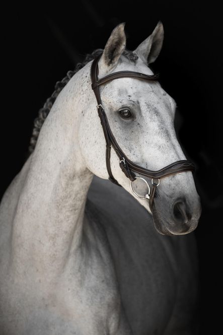 Hovedbilde BETT STRAP